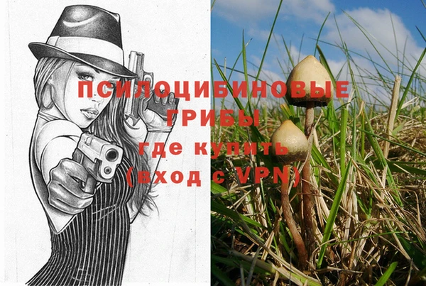 мет Армянск