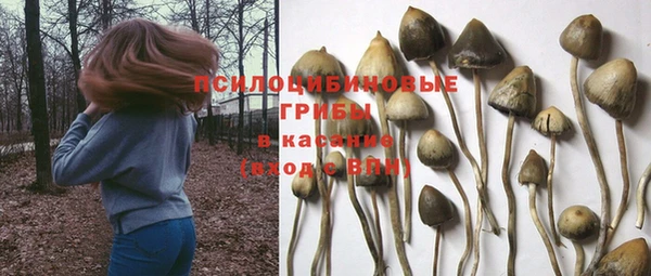 скорость Арсеньев