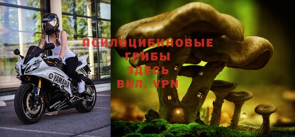 скорость Арсеньев