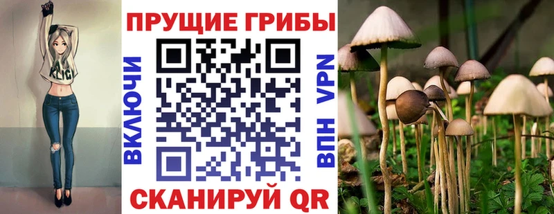 hydra онион  Темрюк  Псилоцибиновые грибы ЛСД 