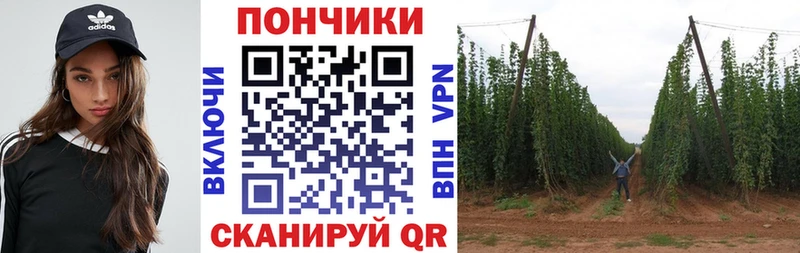 Бошки марихуана THC 21%  Темрюк 